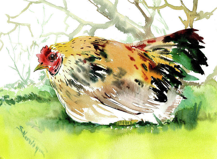 chicken, Hen Painting by Suren Nersisyan