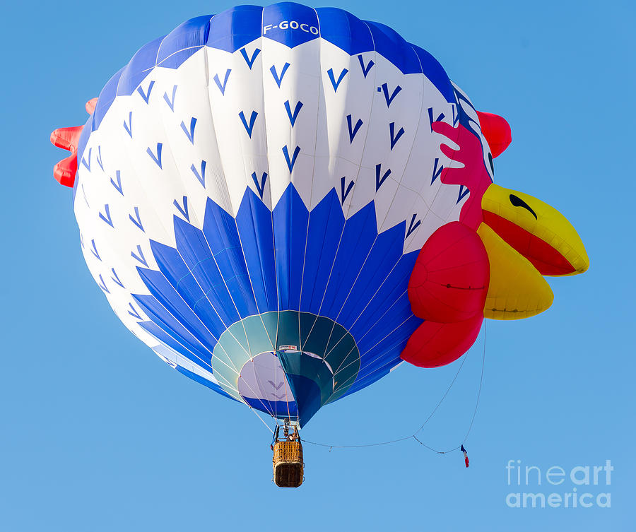 Chicken Hot Air Balloon Photograph by Colin Rayner