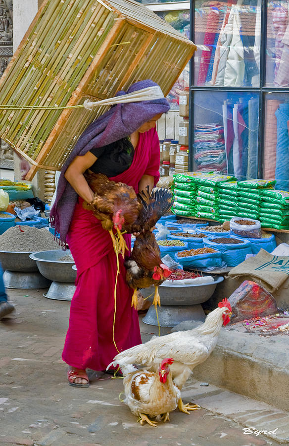 Chicken lady in Patan a suburb of Kathmandu Nepal Photograph by Christopher Byrd
