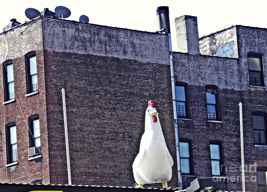 Chicken Photograph - Chicken Little in Manhattan by Sarah Loft
