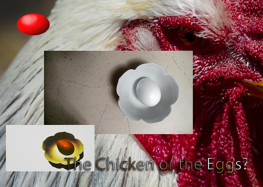 Chicken or egg poster Photograph by Jeff Kurtz