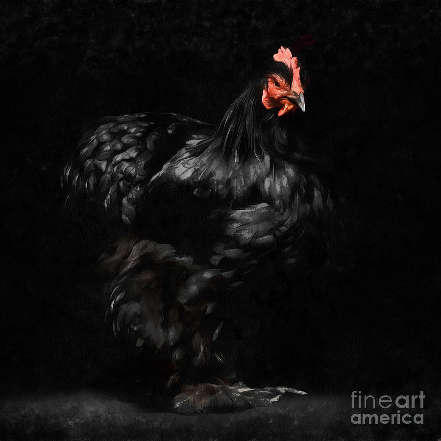 Chicken Painting Digital Art by Edward Fielding
