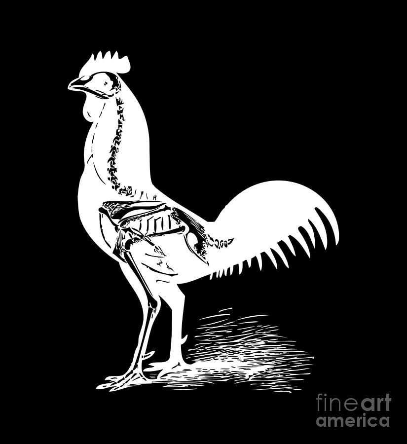 Rooster Digital Art - Chicken X-ray tee by Edward Fielding