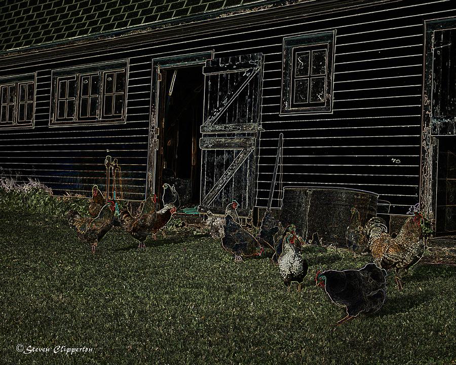 Chickens in the dark Photograph by Steven Clipperton
