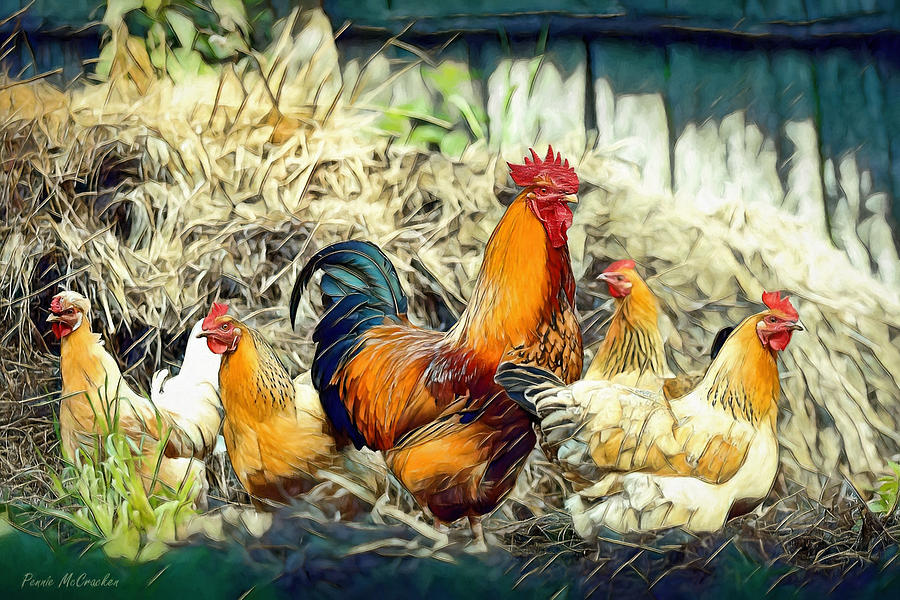 Chickens Digital Art by Pennie McCracken
