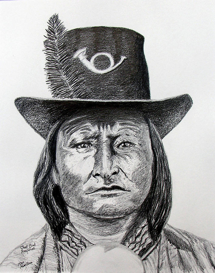 Chief Bird-Arapahoe Drawing by Stan Hamilton