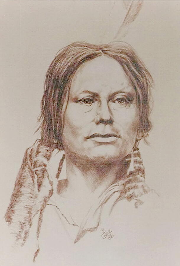 Chief Gall Drawing by Barbara Keith