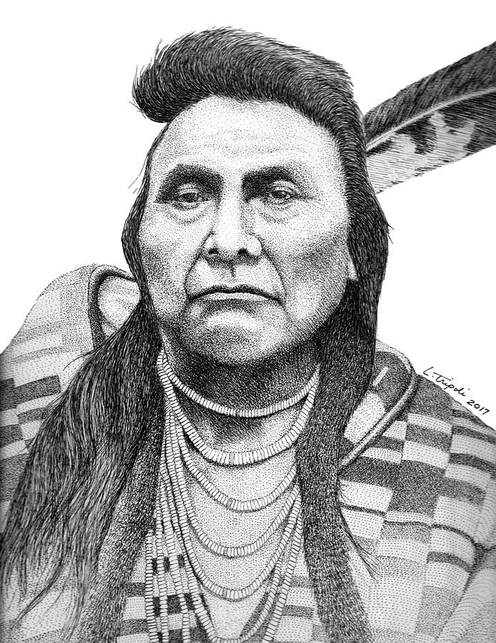 Chief Joseph Drawing by Lawrence Tripoli