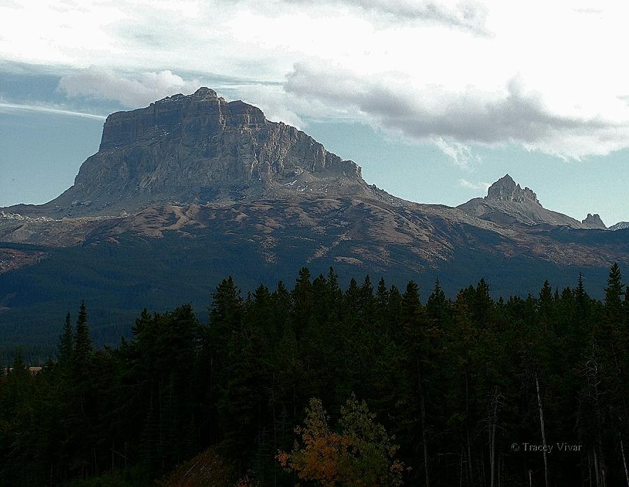 Chief Mountain, A Different View Photograph by Tracey Vivar