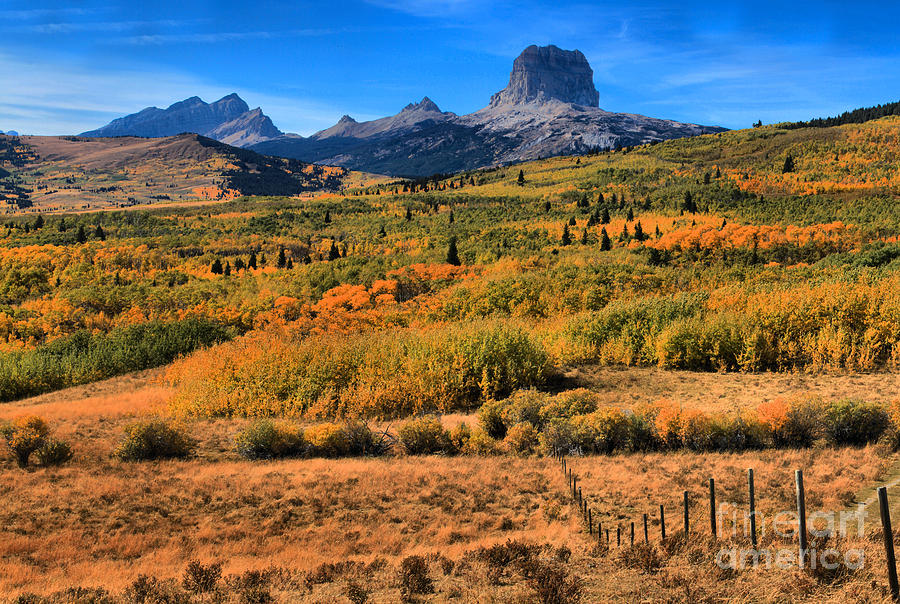Chief Mountain Fall Foliage Photograph by Adam Jewell
