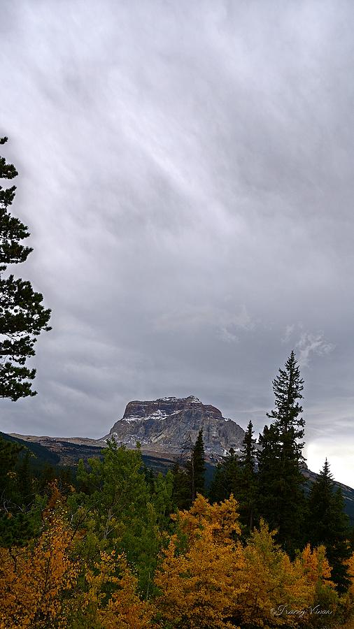 Chief Mountain, Fall, North-side, Vertical Photograph by Tracey Vivar