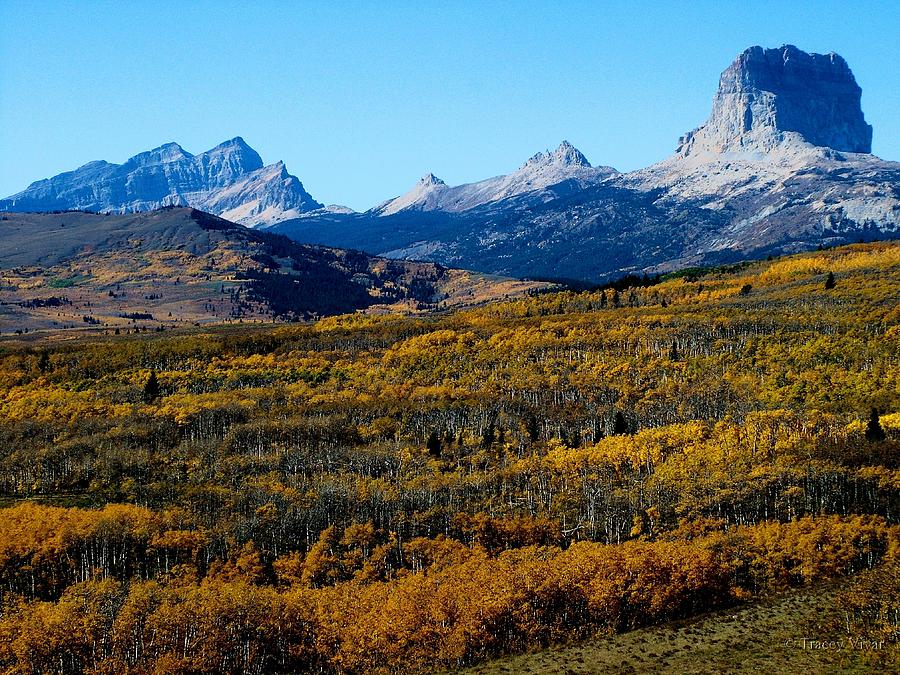 Chief Mountain in the Fall Photograph by Tracey Vivar