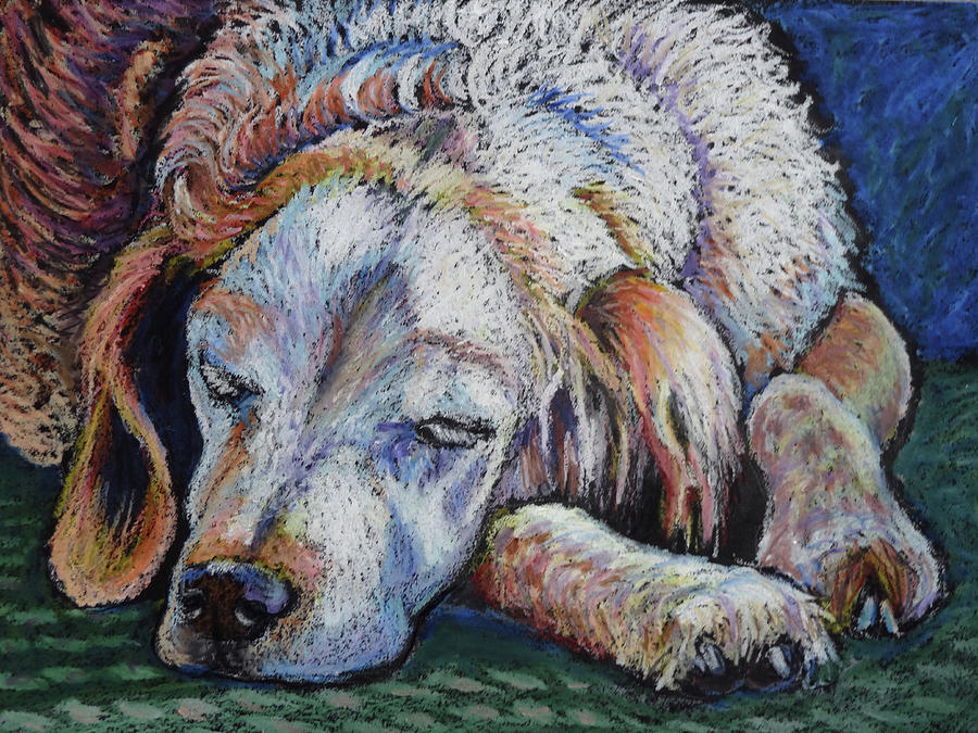 Chief Sleeps Painting by Ande Hall