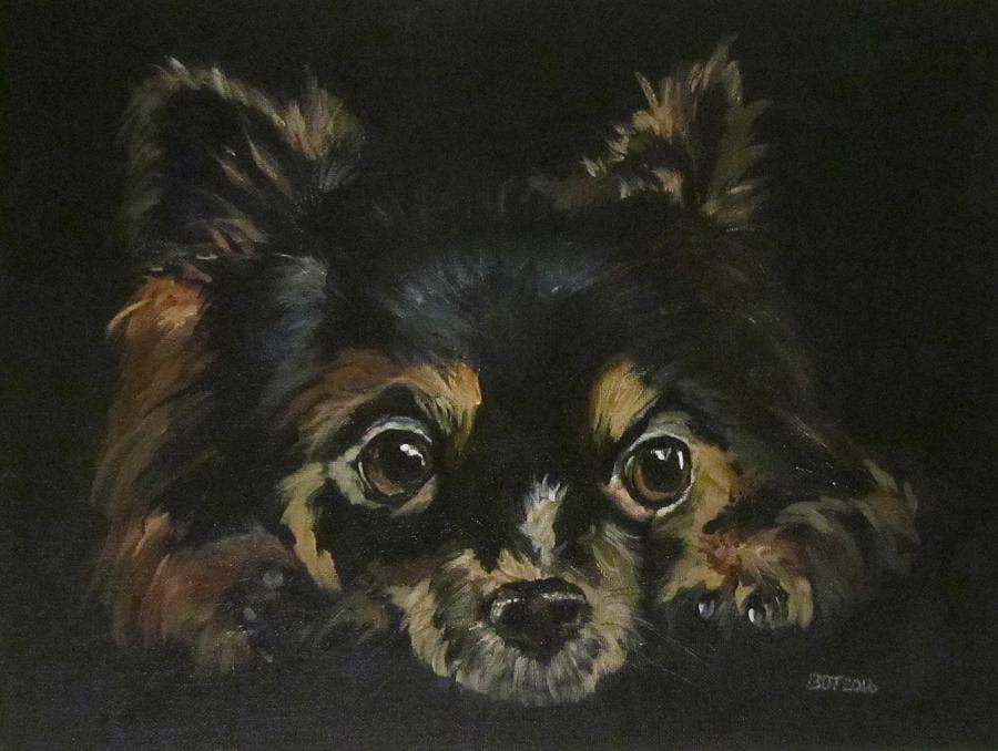 Chihuahua Painting by Barbara OToole