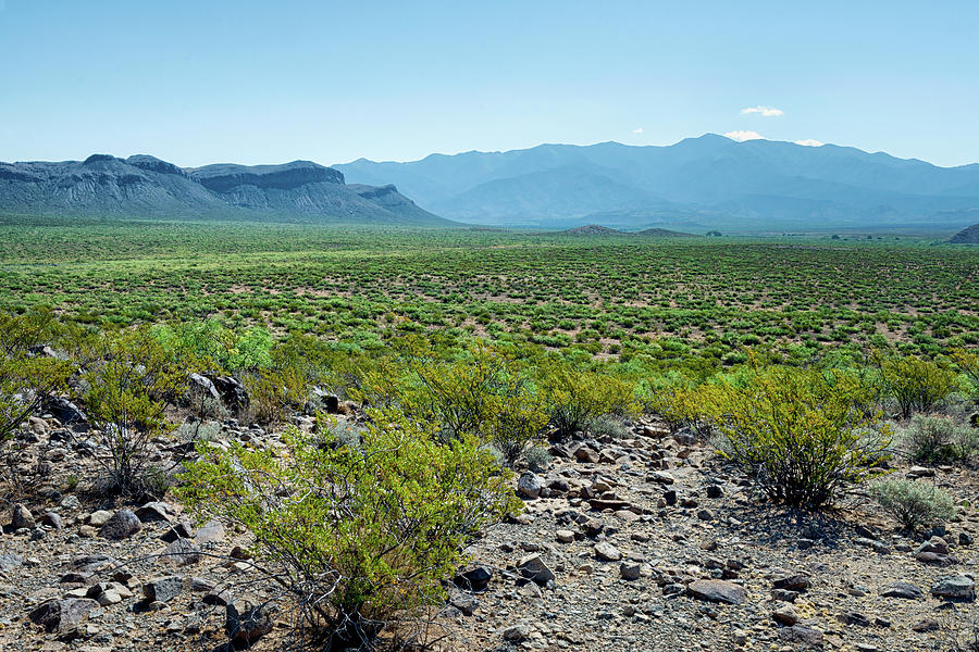 Chihuahuan Desert Photograph by James Barber