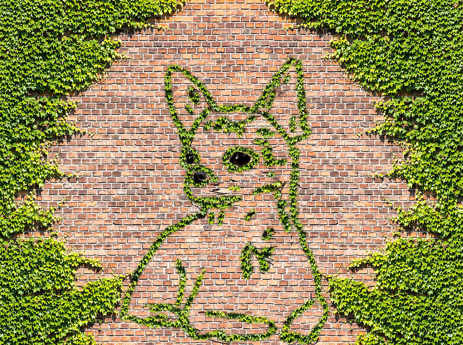chihuahua-dog-in-ivy-on-a-brick-wall-wil