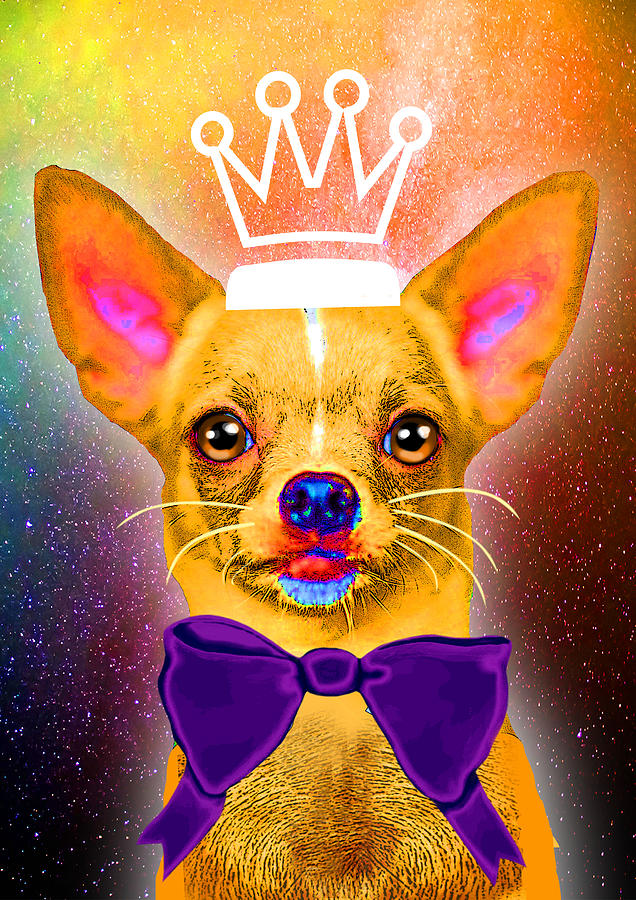 Queen Painting - Chihuahua from Universe by Livia Danihelova