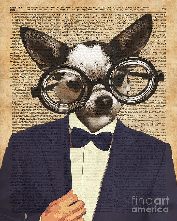 Animal Digital Art - Chihuahua Hipster Dictionary Art by Anna W