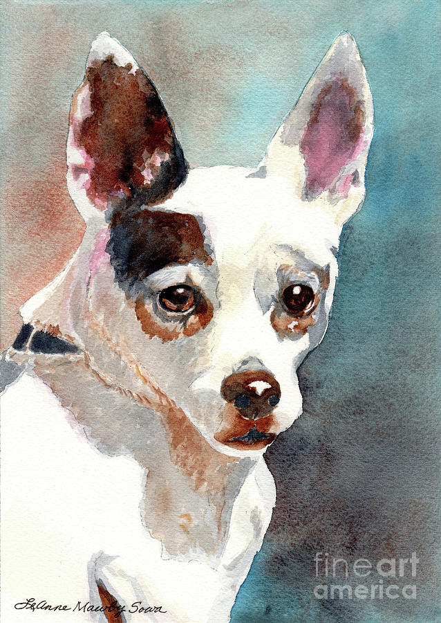Chihuahua, Dog Painting, Dog Portrait, Dog Prints, Dog Art Painting by LeAnne Sowa
