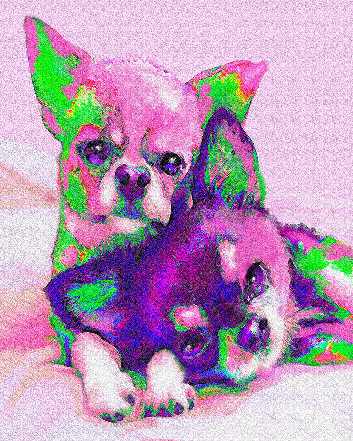 Chihuahua Love Digital Art by Jane Schnetlage