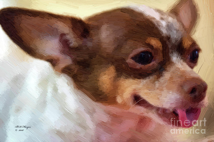 Chihuahua Oil Portrait  Mixed Media by DB Hayes
