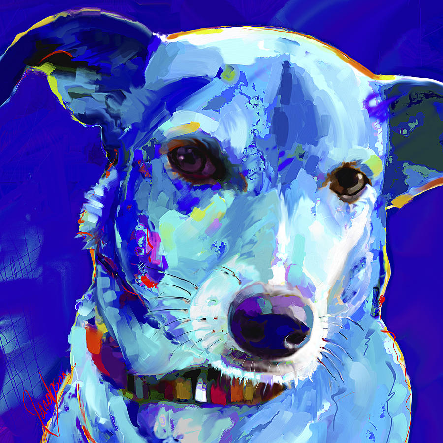 Chihuahua-PitBull  Painting by Jackie Medow-Jacobson