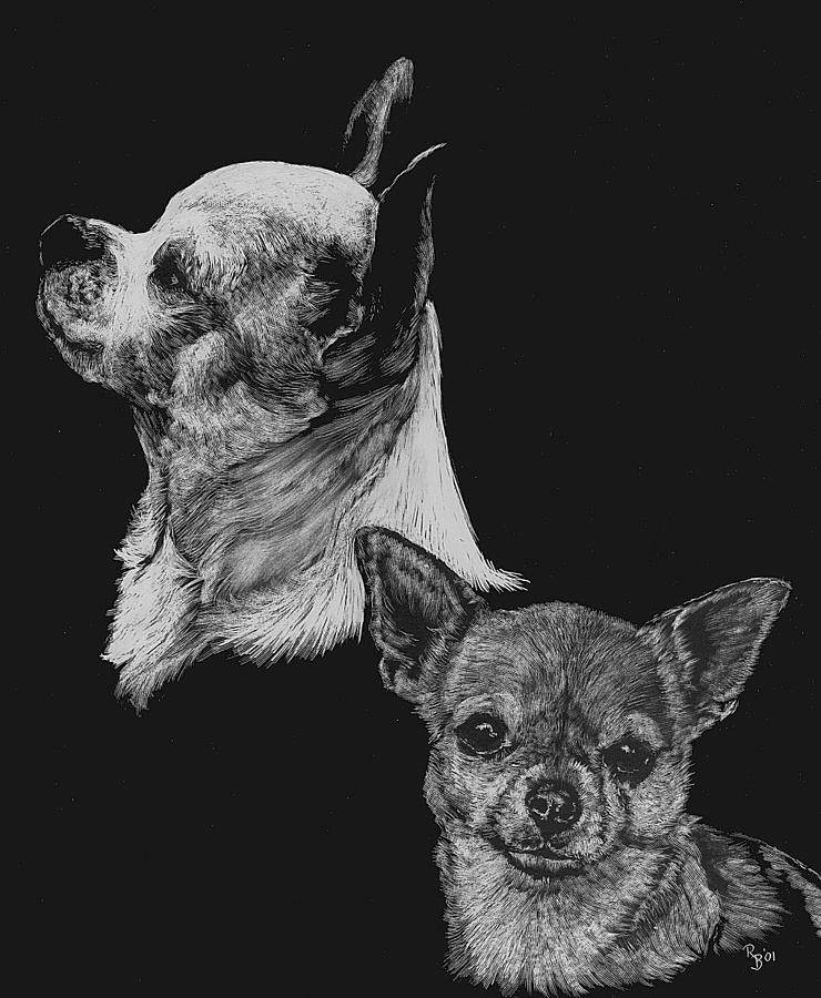 Chihuahua Drawing by Rachel Bochnia