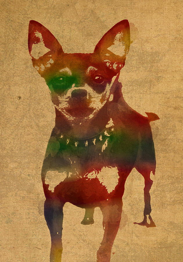 Chihuahua Mixed Media - Chihuahua Watercolor Portrait on Worn Canvas by Design Turnpike