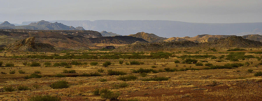 Chihuahuan Desert Sunrise Photograph by Nadalyn Larsen