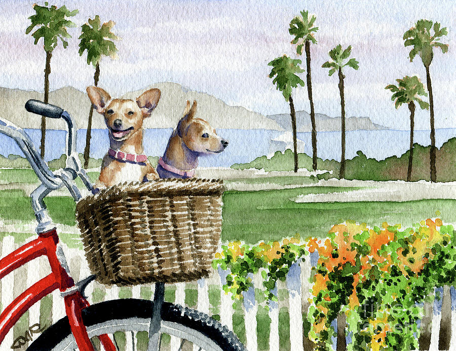 Beach Painting - Chihuahuas in a Bike Basket by David Rogers