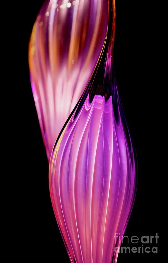 Chihuly Purple Photograph by Glennis Siverson - Fine Art America