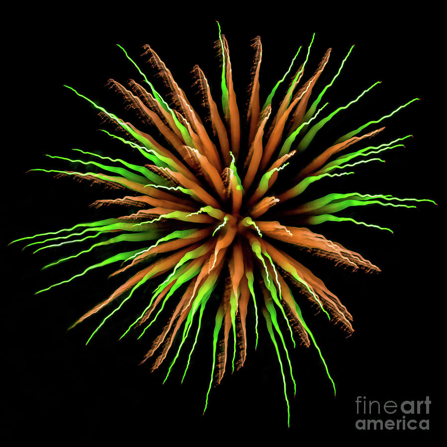 Independence Day Photograph - Chihuly Starburst by Doug Sturgess