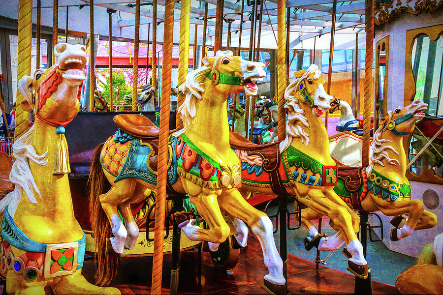 Childhood Carrousel Horse Ride Photograph by Garry Gay