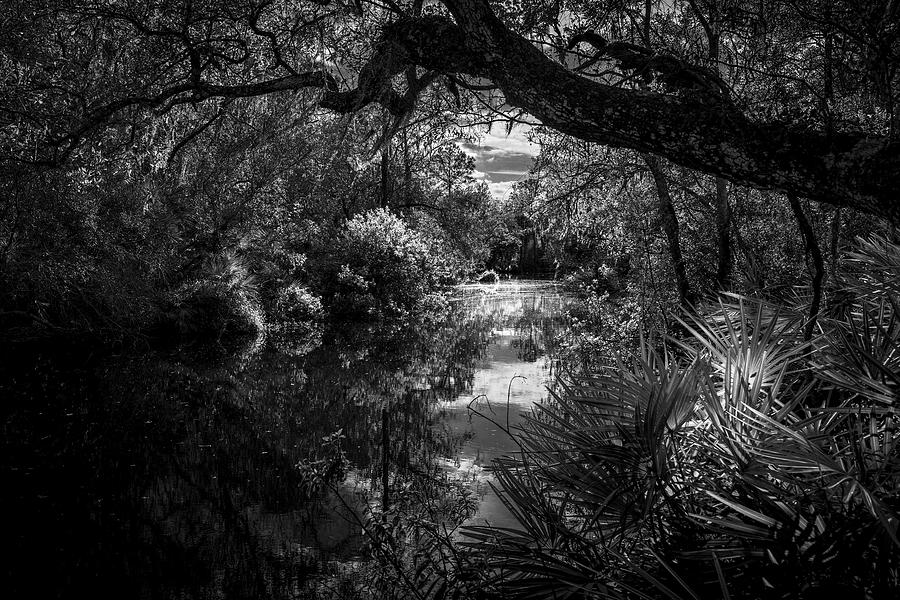 Up Movie Photograph - Childhood Creek by Marvin Spates