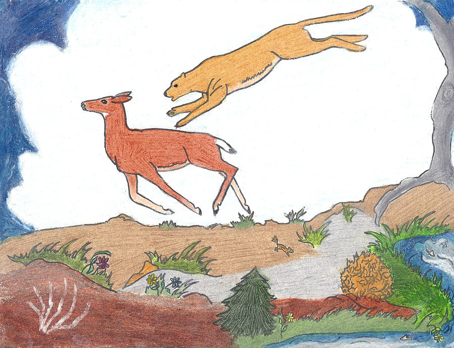 Wildlife Drawing - Childhood Drawing Cougar Attacking Deer by Dawn Senior-Trask