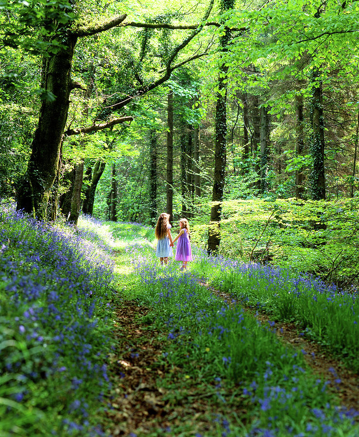 Children in Bluebell Woods Photograph by Maggie Mccall