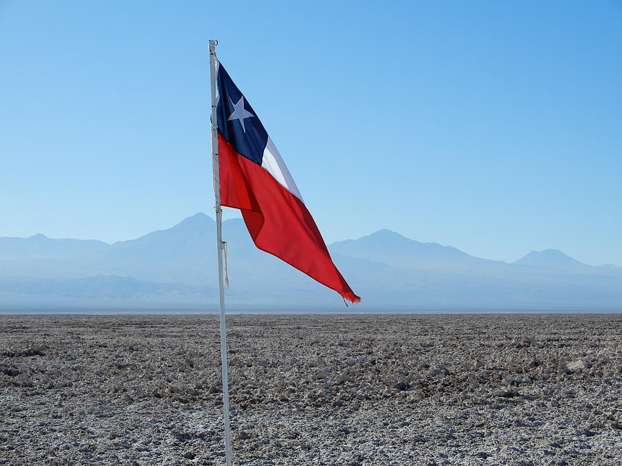 Chilean flag Photograph by Cheryl Hoyle