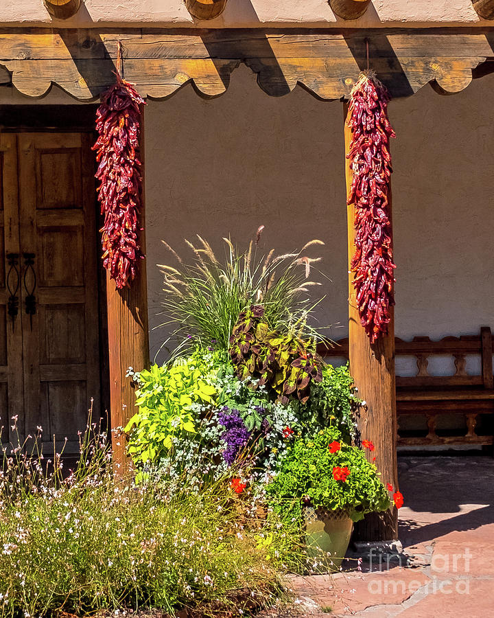 Santa Fe Photograph - Chili Lined Posts by Stephen Whalen