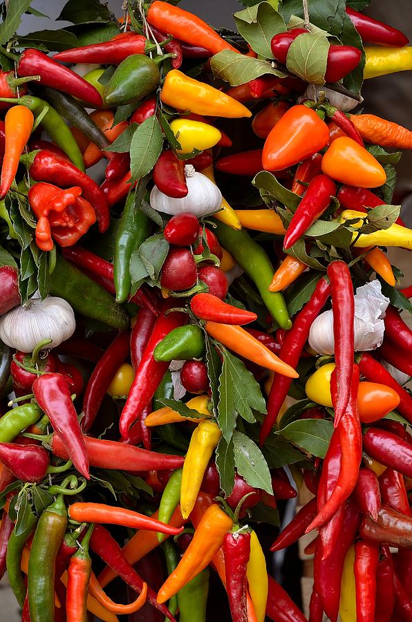 Chili pepper - Capsicum Photograph by Giuseppe Elio Cammarata - Pixels