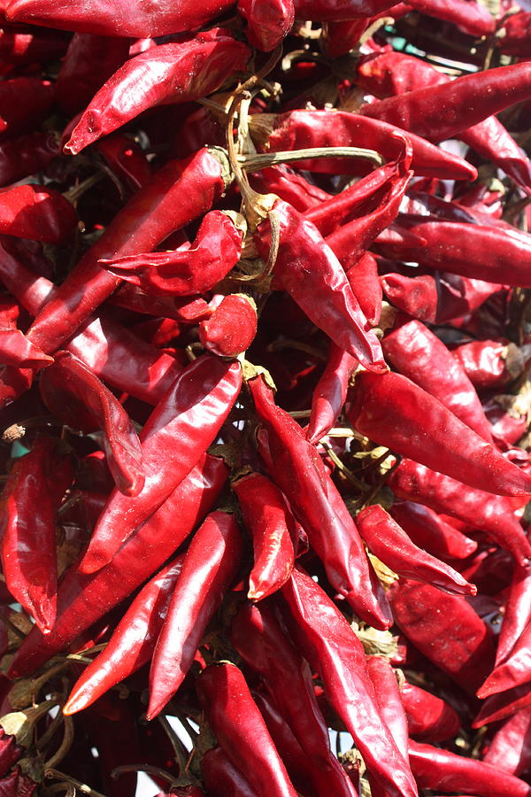 Chili Peppers Photograph by Yvonne Ayoub - Fine Art America