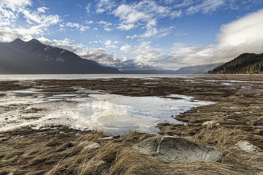 Chilkat Estuary Reflections Photograph by Michele Cornelius
