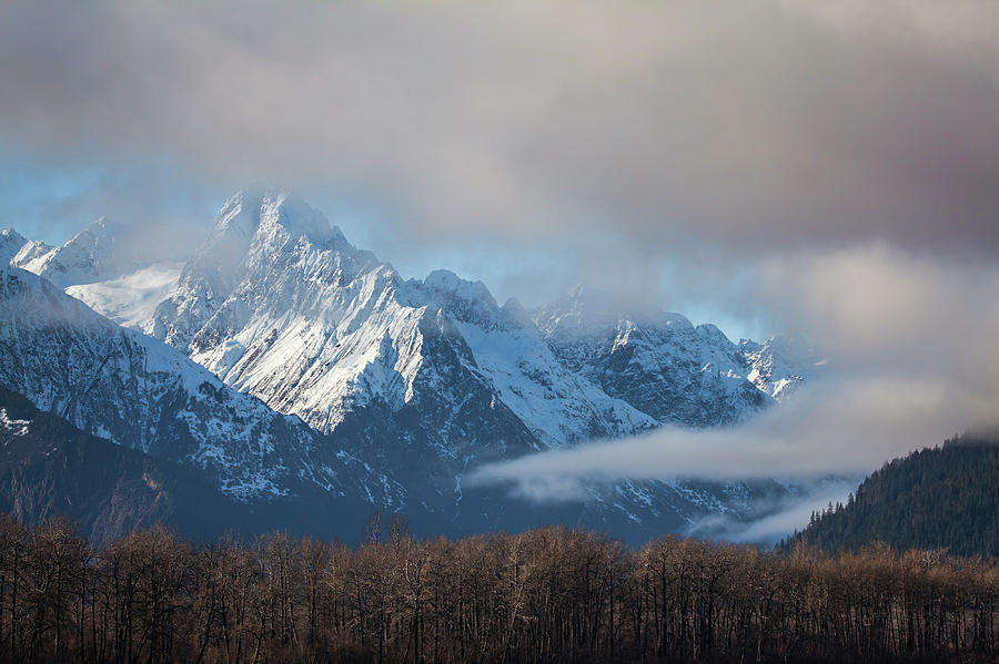 Chilkat mountains with clearing fog Photograph by Michele Cornelius