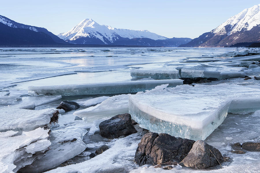 Chilkat River Ice Chunks Photograph by Michele Cornelius