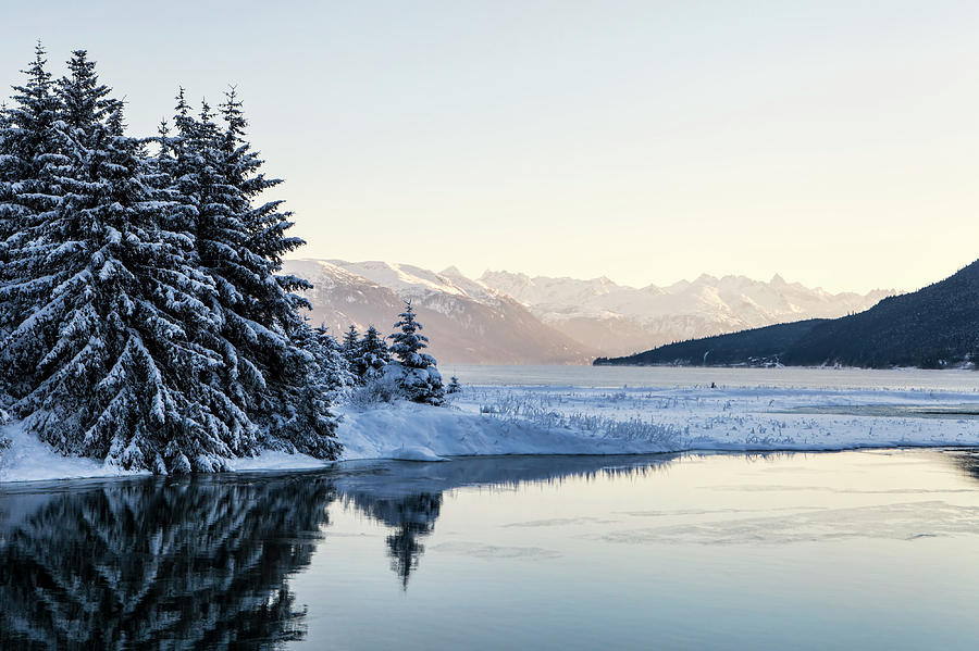 Chilkoot Inlet in Winter Photograph by Michele Cornelius