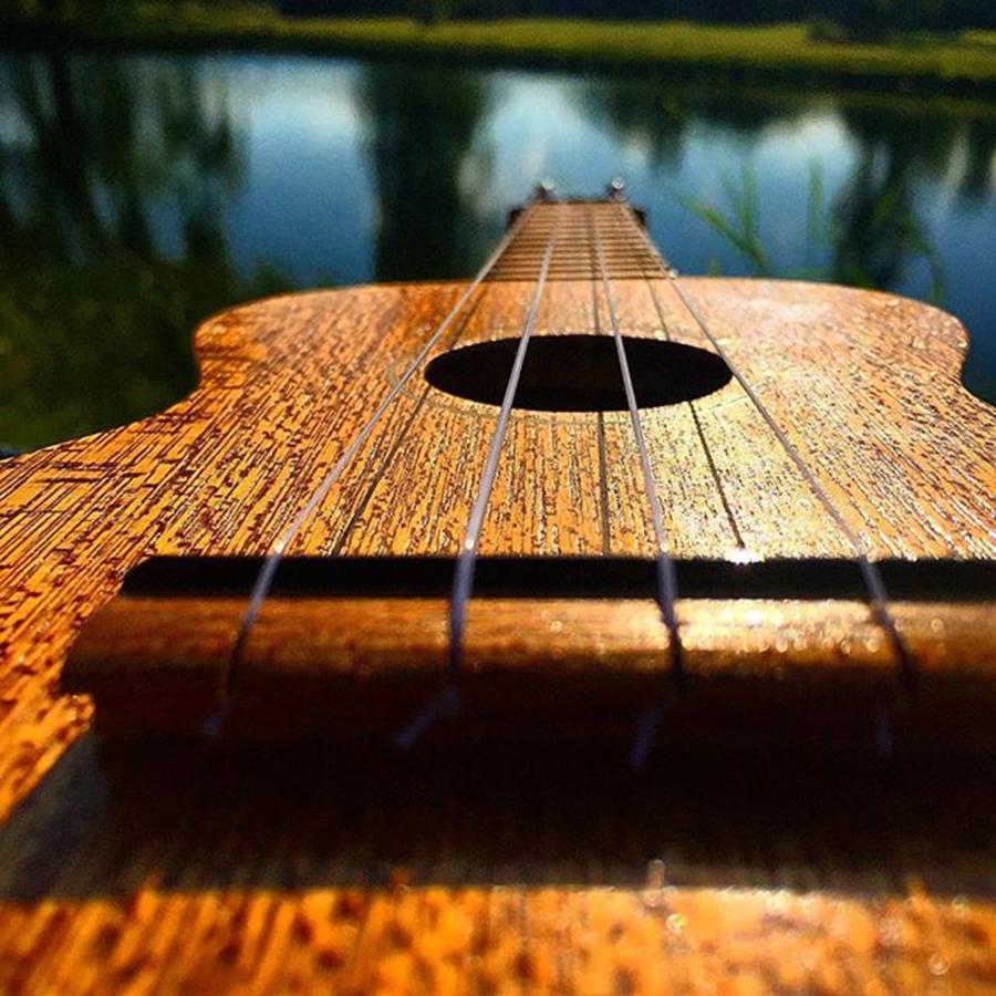 Music Photograph - Chill Zone. #ohio #ukulele #music by Ben Strahsburg