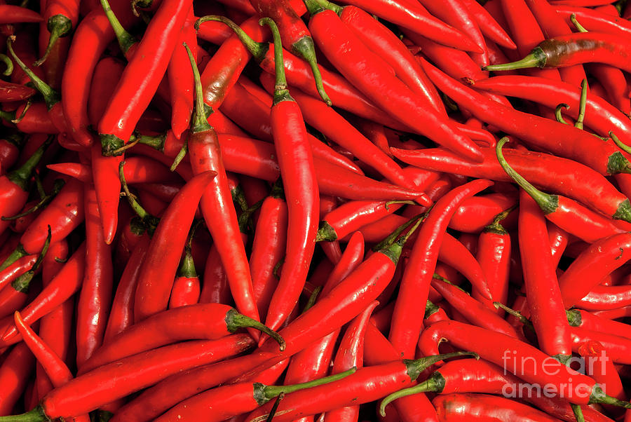 Chillies 06  Photograph by Rick Piper Photography