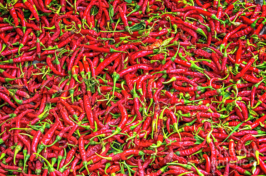 Chillies Photograph by Charuhas Images
