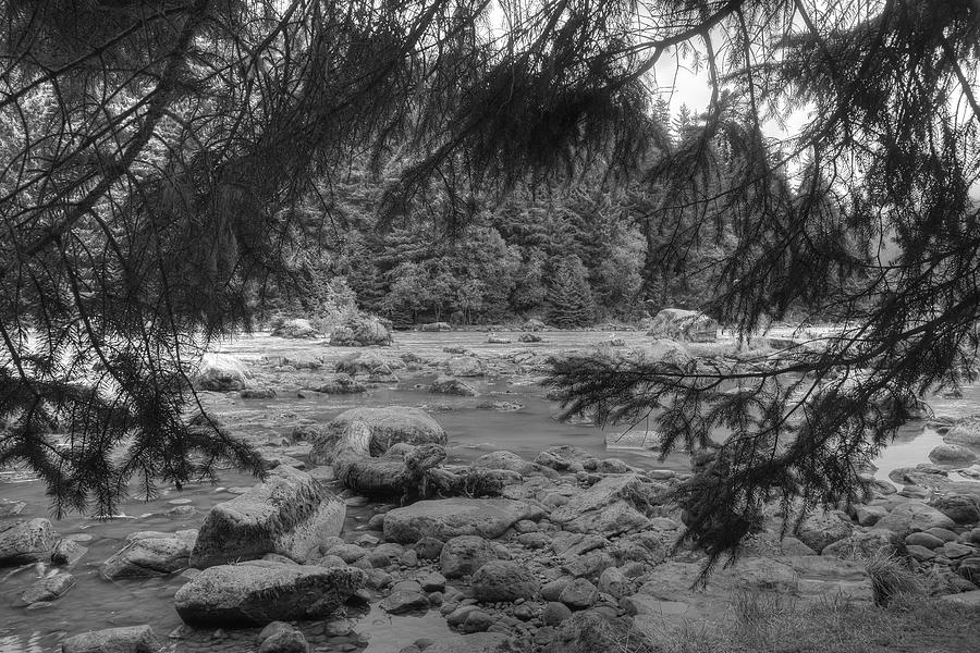 Chillkoot River Black and White Photograph by Richard J Cassato