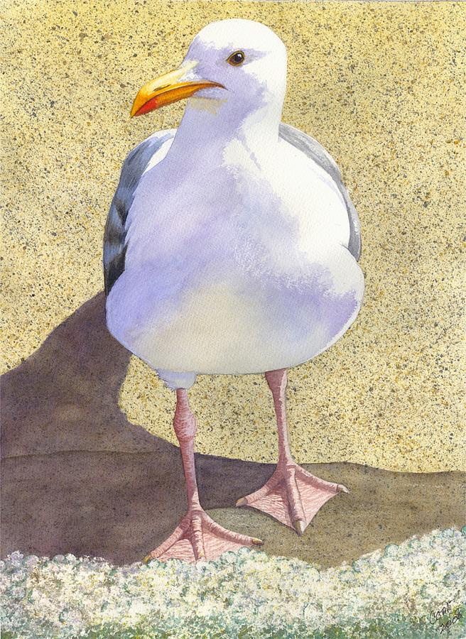 Seagull Painting - Chilly by Catherine G McElroy