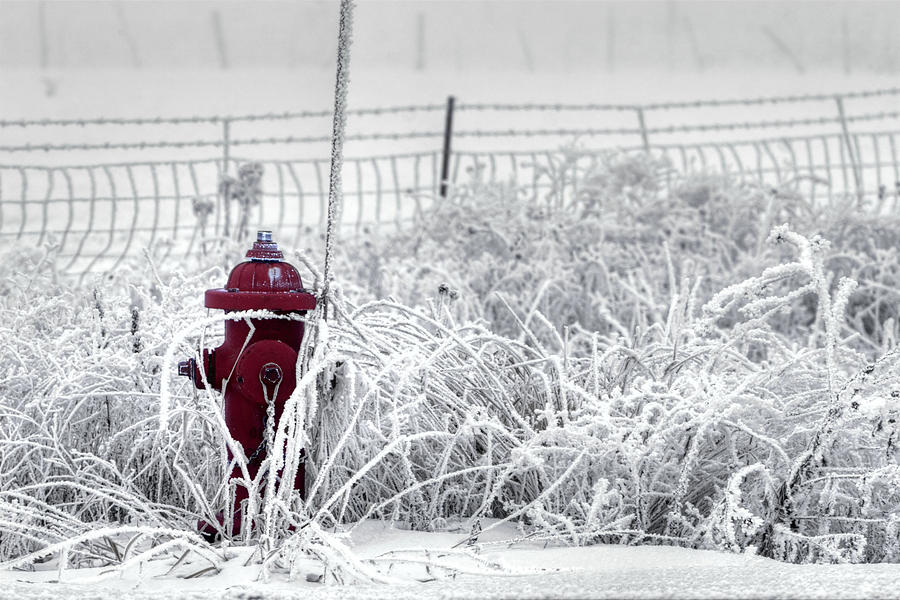 Chilly Hydrant Photograph by David Andersen